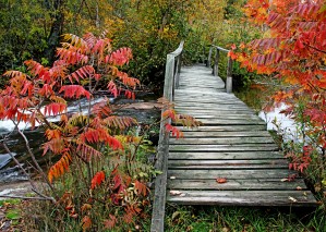 Chikanishing River Bridge